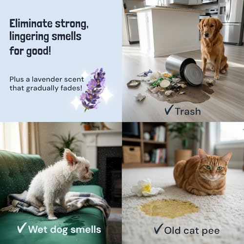 Sunny & Honey Pet Stain and Odor Remover Spray for Carpets, 32floz Lavender - Image 4
