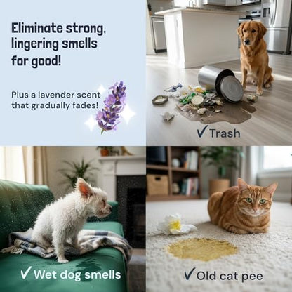 Sunny & Honey Pet Stain and Odor Remover Spray for Carpets, 32floz Lavender - Image 4