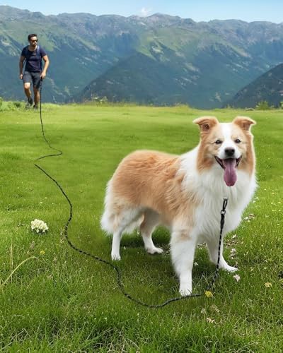 Joytale Long Dog Leash for Yard Tie Out & Recall Training, Black, 65FT - Image 2