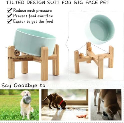 Petygooing Raised/Elevated 15°Slanted Ceramic Dog Bowl for Small Breeds,Tilted Anti Slip Pet Bowl,Food Water Dish with Stand for Cats and Small Dogs Puppy 13.5 OZ (5.1In / 1.7 Cups) Blue Sky - Image 5