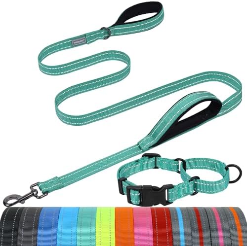 VIVAGLORY Double Handle Dog Leash Twingrip, 5ft x 1in, M2, Turquoise by VIVAGLORY