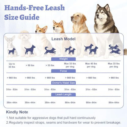 Hands Free Double Dog Leash for Two Dogs- No Tangle No Pull Dual Leash with Padded Adjustable Waist Belt & Reflective Stitching - Ideal for Running, Jogging, Hiking with Medium & Large Breeds - Image 2