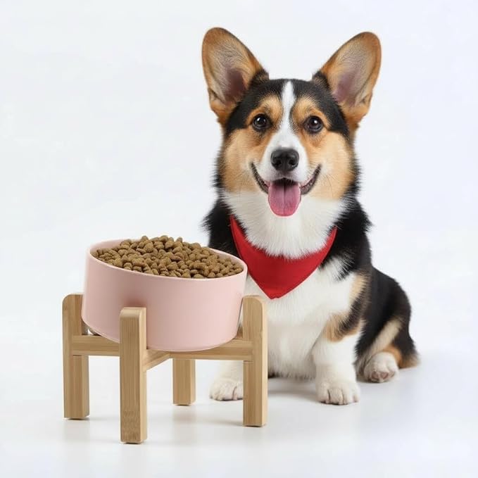 Petygooing Khaki Elevated/Raised 15°Slanted Ceramic Dog Bowl for Small and Medium Breeds, Tilted Anti Slip Pet Feeding Bowl,Food Water Dish with Stand for Cats and Dogs (28 OZ/3.6 Cups)
