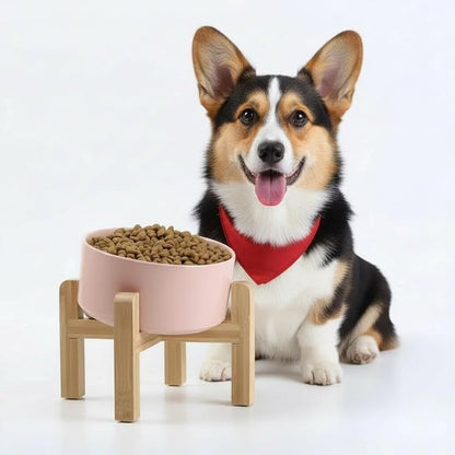 Petygooing Khaki Elevated/Raised 15°Slanted Ceramic Dog Bowl for Small and Medium Breeds, Tilted Anti Slip Pet Feeding Bowl,Food Water Dish with Stand for Cats and Dogs (28 OZ/3.6 Cups)