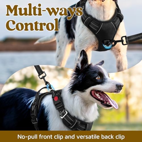 rabbitgoo Dog Harness for Large, No Pull 3 Buckles Easy On & Off - Image 3