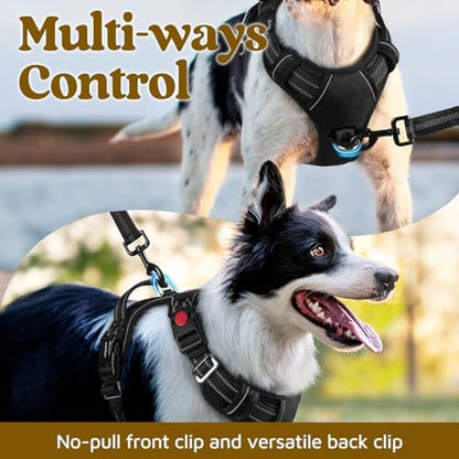 rabbitgoo Dog Harness for Large, No Pull 3 Buckles Easy On & Off - Image 3