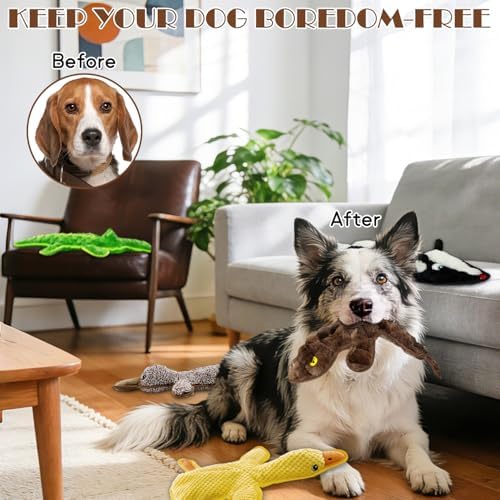 No Stuffing Dog Squeak Toys, 5 Pack Chew Toys for Small to Large Puppies - Image 6