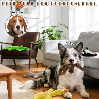 No Stuffing Dog Squeak Toys, 5 Pack Chew Toys for Small to Large Puppies - Image 6