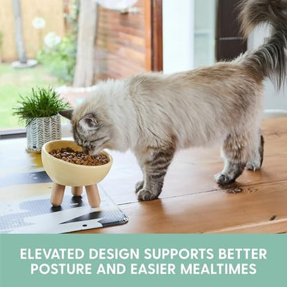 The Cat Ladies Tilted Ceramic Cat Bowl - Elevated Food Bowls Ceramic Pet Bowl - Raised Ceramics Bowls - Elevated & Tilted Design for Comfortable Eating - Dishwasher Safe - Wide Opening - Image 2