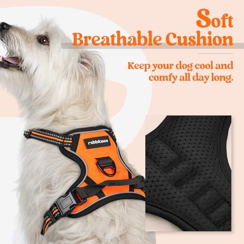 rabbitgoo Dog Harness No Pull with 2 Leash Clips, Adjustable Soft Padded, Reflective Oxford No Choke Pet Vest with Easy Control Handle for Puppy, Orange,XS - Image 2