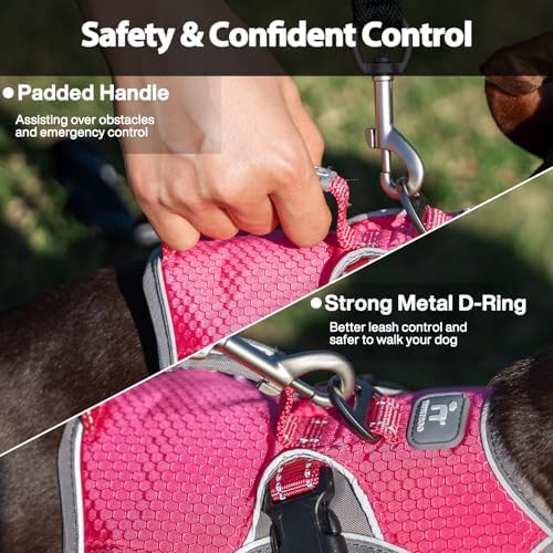 Huntboo Escape Proof Dog Harness, Dachshund Harness, Reflective Dog Harness with Handle, Durable,Adjustable Vest for Small Medium Large Dogs Walking, Training, and Running Gear (Rose red,S) - Image 4