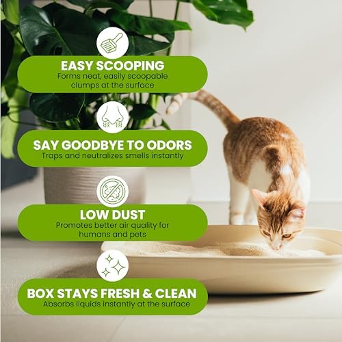 Natural Unscented Cat Litter - 10 lbs - Plant-Based, Clumping, Biodegradable, Non-Toxic, Compostable, Eco-Friendly, Odor Control, Low Dust, Safe for Cats & Kittens. (Pack of 2) - Image 6