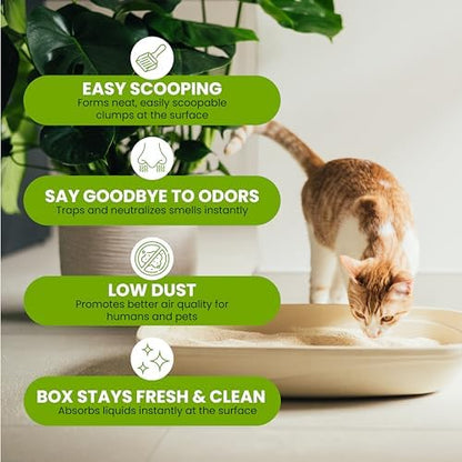 Natural Unscented Cat Litter - 10 lbs - Plant-Based, Clumping, Biodegradable, Non-Toxic, Compostable, Eco-Friendly, Odor Control, Low Dust, Safe for Cats & Kittens. (Pack of 2) - Image 6