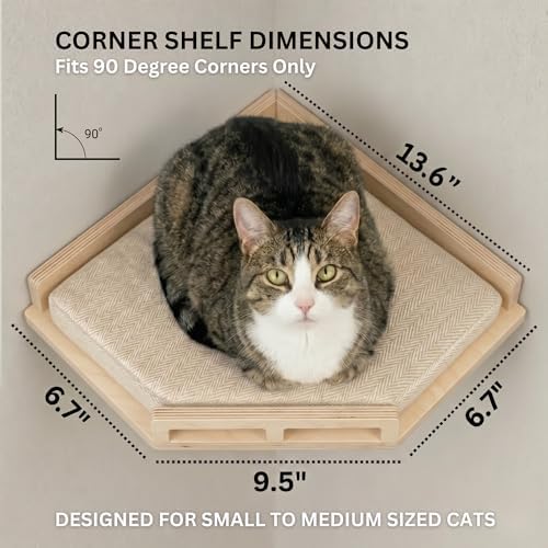 INICIO Cat Wall Shelves and Steps, 4-Piece Wooden Cat Wall Furniture Set - Image 3