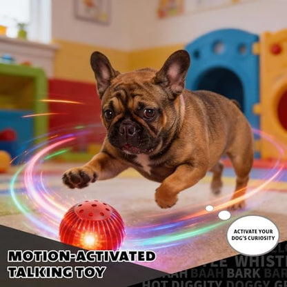 Pet Qwerks Blinky Babble Ball - Flashing Interactive Chew Dog Toy - Small - Image 2