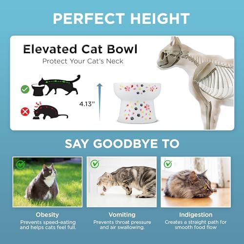 Necoichi Ceramic Elevated Cat Water Bowl, Whisker-Friendly (Cat, Regular) - Image 5