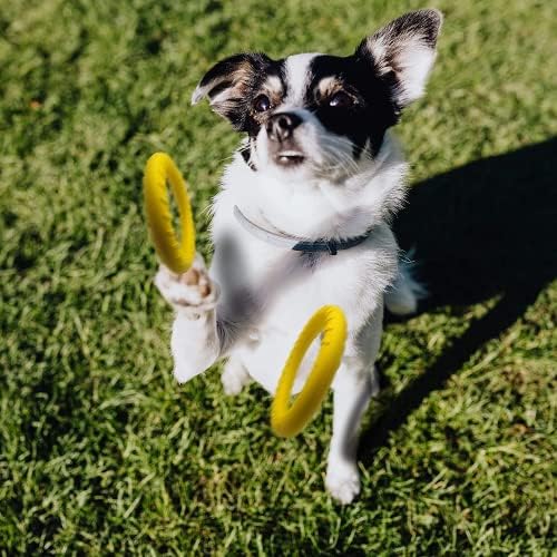 Dog Flying Disc,Floating Dog Ring Toys, Indestructible Dog Chew Toys for Small Chewers Dog Toys for Pool,Float Durable Outdoor &Indoor Puppy Toy for Throwing,Catching,Swimming,Training - Image 6
