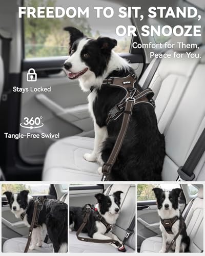 Joytale 3-in-1 Bungee Dog Seat Belt for Car, Medium and Large Dogs, Brown - Image 5