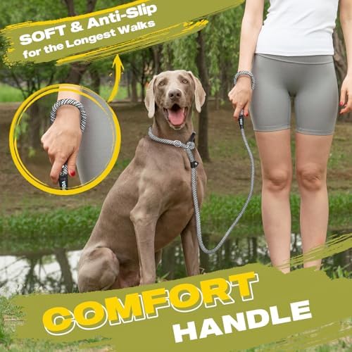 Fida Durable Slip Lead Dog Leash, 4 FT x 1/2" Dog Training Leash, Grey - Image 6
