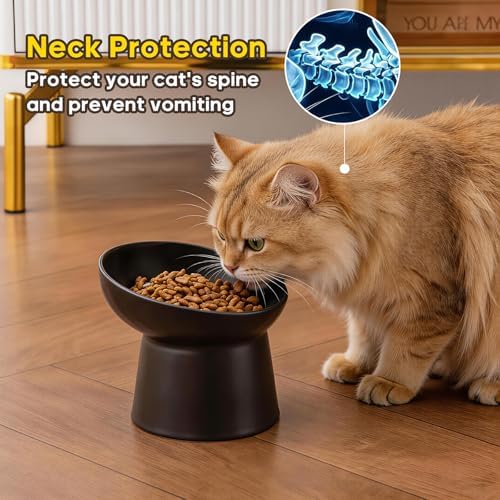 Ceramic Raised Cat Bowls - Elevated Tilted Cat Food and Water Bowls, Anti Vomiting and Protect Pets' Spines Pet Feeding Dish for Cats, Dishwasher Microwave Safe (1 x Bowl - Black) - Image 3