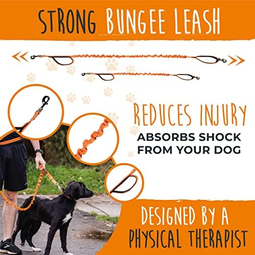 Mighty Paw Hands Free Dog Leash | Bungee Waist Leash for Dog Walking. Pet Running Hands Free Tether for Large, Medium & Small Breeds. Pet Waist Belt (36" - 48") Up to 150 lbs - Orange - Image 2