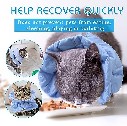 Adjustable Recovery Collar - Lightweight - Image 5