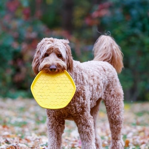 PROJECT HIVE ·PET COMPANY· Dog disc - Great for Fetch - Includes a Lick mat on Back - Floats in Water, Smooth Glide - Made in The USA (Unscented Yellow) - Image 2