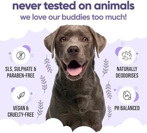 Calming & Deodorising Dog Shampoo by Buddycare | Lavender Scented | with Aloe Vera and Pro Vitamin B5 (50.72oz) - Image 5