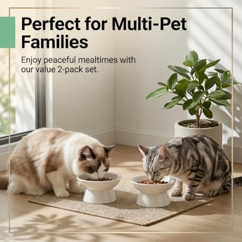 YULL Raised Ceramic Cat Bowls, 6" Wide 2.4" Tall Elevated White Cat Food and Water Dish, Shallow Wide Bowl for Whisker Fatigue Relief (2 Pack) - Image 7