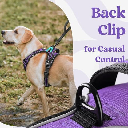 rabbitgoo Dog Harness for Large, Updated Easy On & Off with 3 Buckles - Image 5