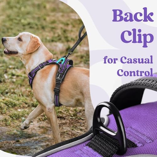 rabbitgoo Dog Harness Small Sized, Updated Easy On & Off with 3 Buckles - Image 6