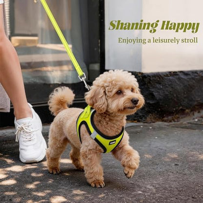 No Pull Dog Puppy Harness and Leash Set Reflective Mesh Vest Small - Image 6