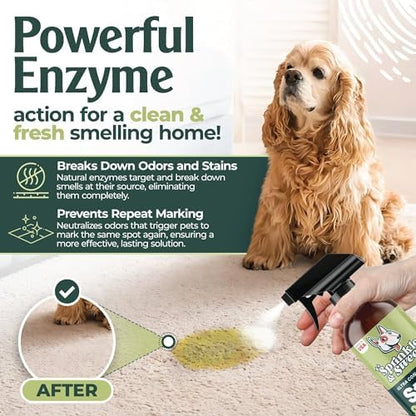 Sprinkle & Sweep: Pet Stain & Odor Enzyme Spray - 32oz - No Scrubbing Concentrated Formula, Dog & Cat Urine & Mess Destroyer, Carpet Spot Cleaning - Image 2
