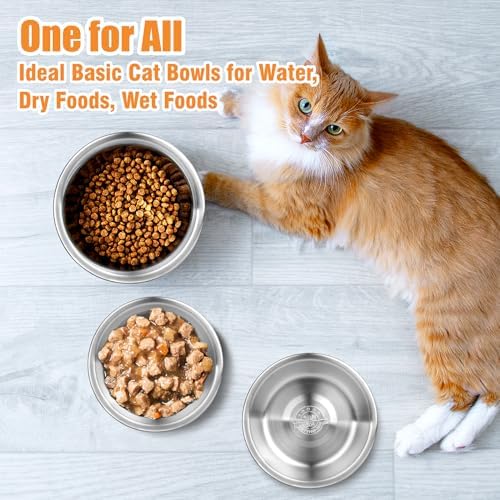 6 Pcs Stainless Steel Cat Bowls, Metal Shallow Cat Bowls Whisker Friendly - Image 4