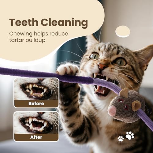 Cat Chew Ropes with Catnip Mouse, 3Pcs Cat Chew Toys for Large Cats Enrichment, 3-in-1 Catnip Toys Mouse & Strong Braided Ropes & Gall Fruits, Cats Teething Toys - Image 6