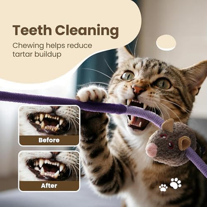 Cat Chew Ropes with Catnip Mouse, 3Pcs Cat Chew Toys for Large Cats Enrichment, 3-in-1 Catnip Toys Mouse & Strong Braided Ropes & Gall Fruits, Cats Teething Toys - Image 6
