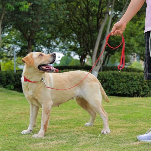 Waterproof Dog Leash, 5/6 FT Durable Odor-Proof Dog Leashes with Strong Metal Hooks Fits Small Medium or Large Dogs (Red, 6FT - 1 inch Width) - Image 6