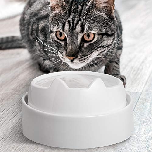 CatGuru Cat Bowls, Whisker-Friendly Cat Water Bowl, Encourages Drinking - Image 5