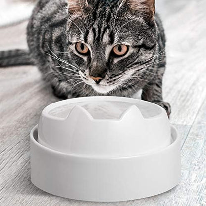 CatGuru Cat Bowls, Whisker-Friendly Cat Water Bowl, Encourages Drinking - Image 5