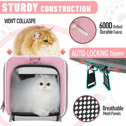 GAPZER Large Cat Carrier Soft, Collapsible Travel Pet Carry Bag, Small Dogs - Image 6