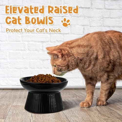 Tioncy 2 Pcs Ceramic Elevated Slow Feeder Cat Bowl, Dark Green, Black - Image 6