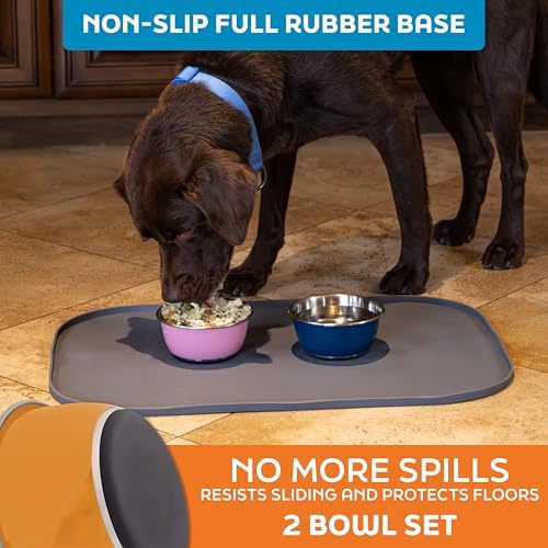 Master Pet Supply Stainless Steel Dog Bowls Set of 2 - Mango Tango - 16 Oz - Image 4