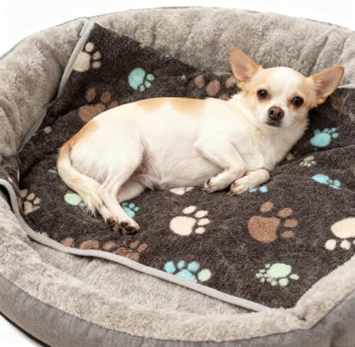 12 Pcs Small Dog Blanket Fleece Puppy Blankets Washable Pet Blankets for Cats Soft Flannel Paw Printed Throw for Guinea Pig Indoor Kittens Doggie (23 X 16 Inch,Dark Gray) - Image 2