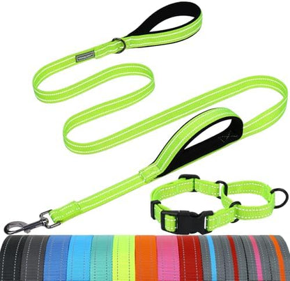 VIVAGLORY Double Handle Dog Leash Twingrip, 5ft x 1in, M, Neon Yellow by VIVAGLORY