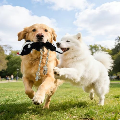 No Stuffing Rope 2-Pack Dog Toys, Chew Toys for Medium, Large Pets - Image 5