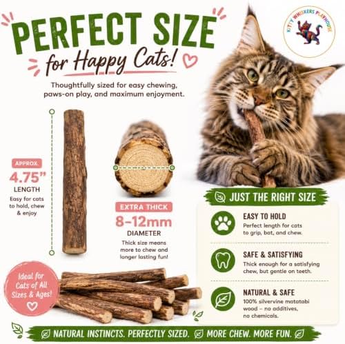 Extra Thick Silvervine Sticks for Cats, Natural Matatabi Cat Chew Sticks, 10 Pack, 8–12mm Thick, 4.75" Long, Catnip Alternative, Dental Chew Toy by Kitty Whiskers Playhouse - Image 5