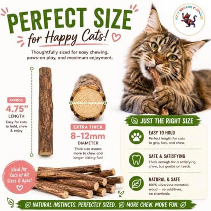 Extra Thick Silvervine Sticks for Cats, Natural Matatabi Cat Chew Sticks, 10 Pack, 8–12mm Thick, 4.75" Long, Catnip Alternative, Dental Chew Toy by Kitty Whiskers Playhouse - Image 5