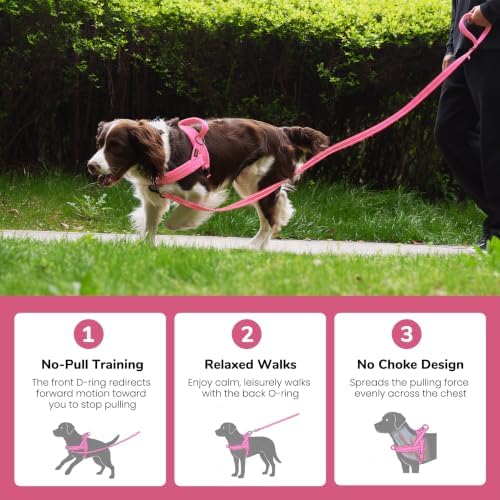 Didog No Pull Dog Harness for Small Dogs, Soft Flannel Padded, Pink, XS - Image 4