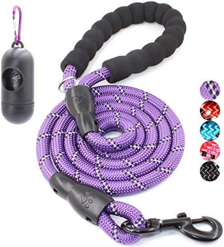 BAAPET 2/4/5/6 FT Dog Leash with Comfortable Padded Handle and Highly Reflective Threads for Small Medium and Large Dogs (4FT-1/2'', Purple) by BAAPET