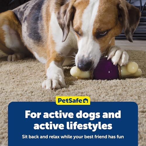 PetSafe Busy Buddy Bouncy Bone Treat Holding Dog Chew Toy, Small - Image 6